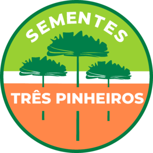 Três Pinheiros